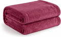 Cotton Bolls Textiles Cozy Plush AC Blanket for Double Bed, Lightweight All Season Blanket, Ultra Soft Blanket for AC Room, Mild