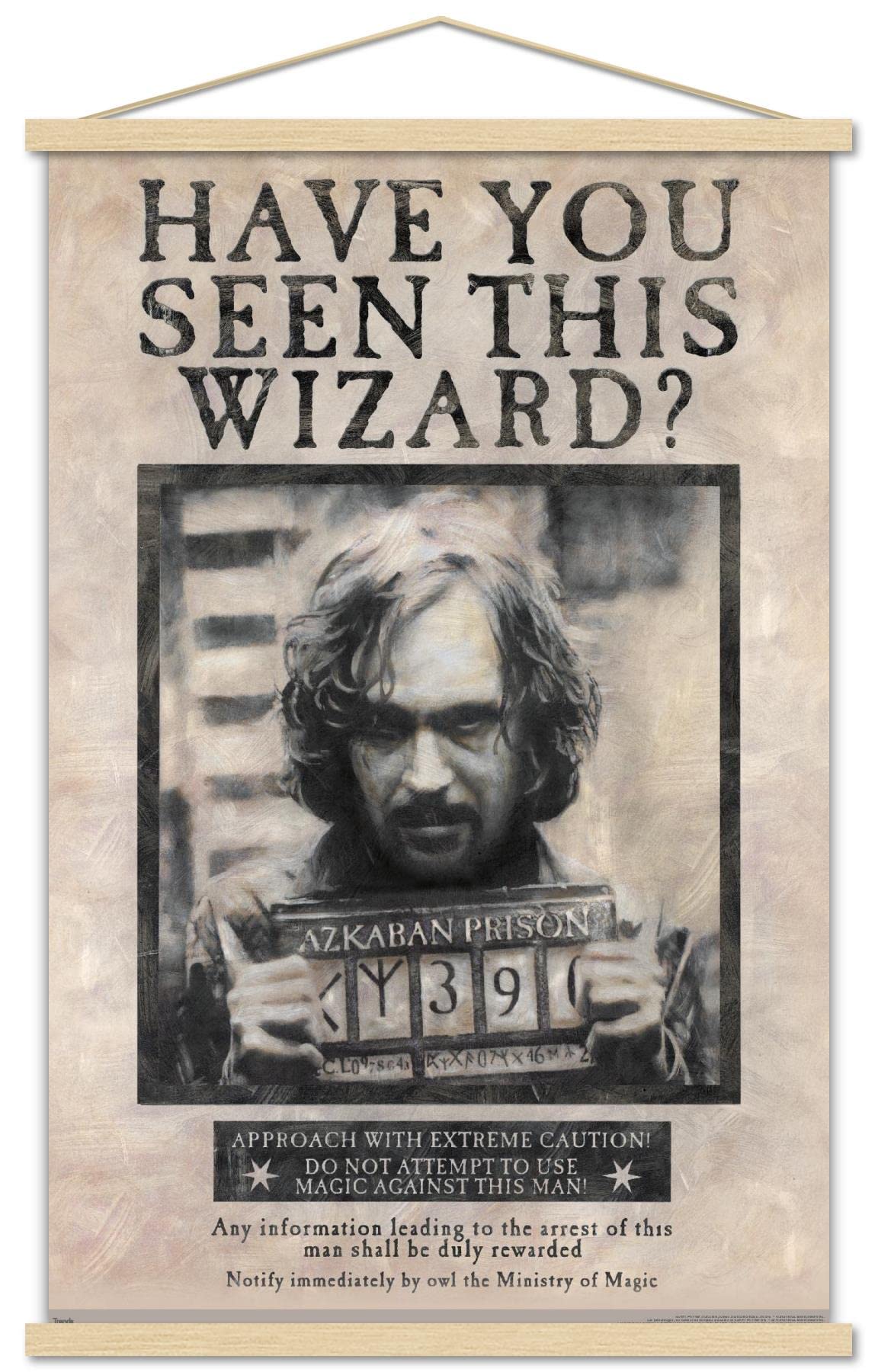 Trends International The Wizarding World: Harry Potter - Sirius Black Wanted Poster Wall Poster, 22.375 x 34, Print and Beechwoo