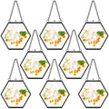 8 Pieces Hanging Glass Floating Frame 4 x 3 Inch Pressed Flower Glass Picture Frame Double Picture Artwork Display Frame for Pho