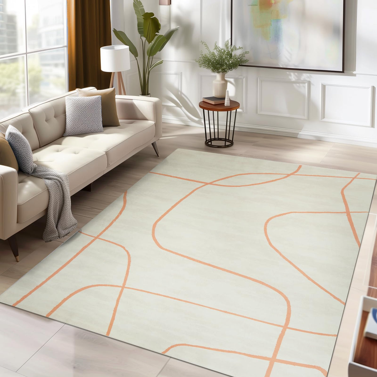 jinchan Area Rug 4x6 Washable Rug Abstract Rug Melon Rug Aesthetic Minimalist Rug Indoor Floor Cover Print Carpet Thin Rug Accen