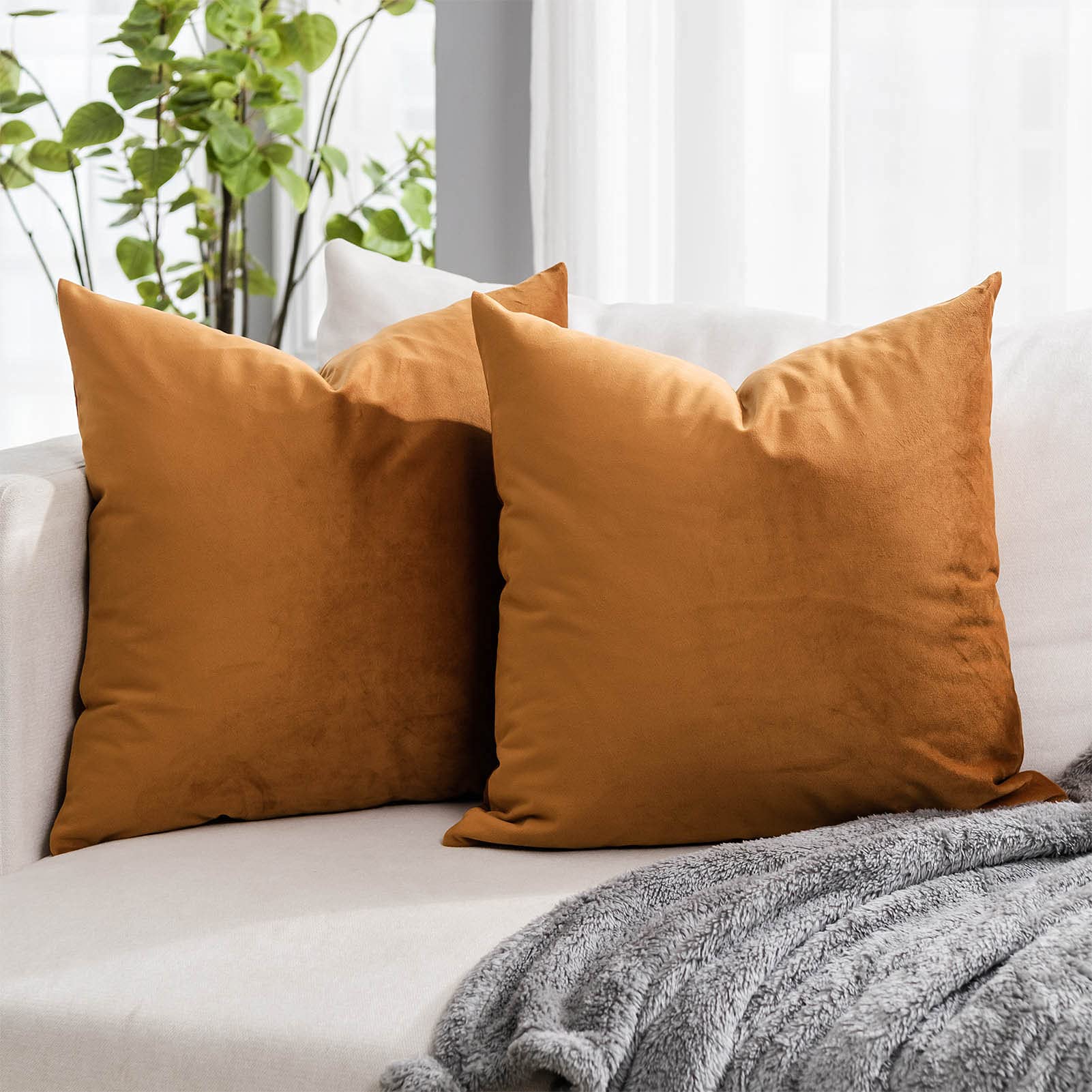 Quafoo Burnt Orange Soft Velvet Throw Pillow Covers 28X28 Inch Set Of 2 For Sofa Couch Bed Living Room Decorative Luxury Solid S