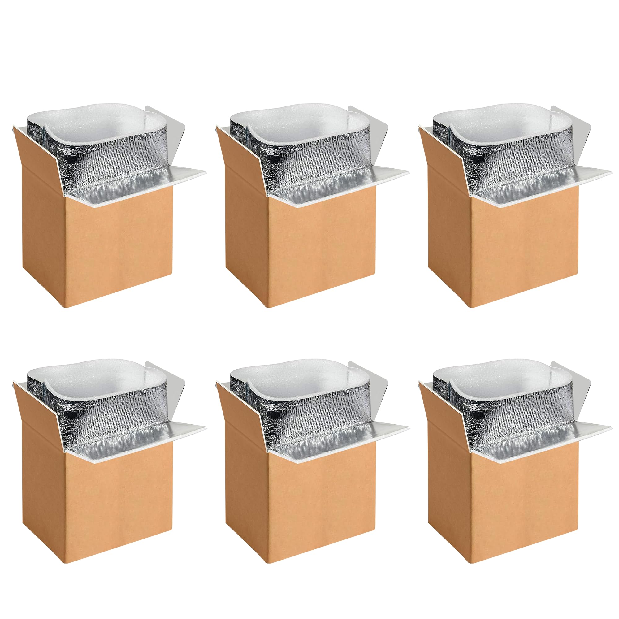 Yssoa 6 Pack Insulated Shipping Boxes With Aluminum Foil Liner,Thermal Insulation Cold Pack Shipping Boxes For Frozen, Reusable