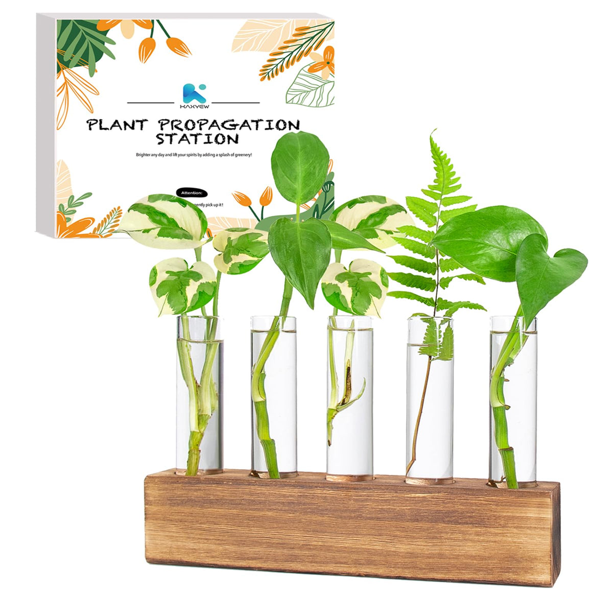 Kaxyew Plant Propagation Station, Desktop Glass Plant Terrarium With 5 Test Tubes In Wooden Stand For Hydroponic Plants Office H