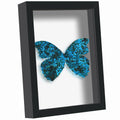 Picrit Shadow Box Frame 11x14, Display Case Box with High Definition Real Glass and Black Back for Memorabilia, Baby Items, Wedd