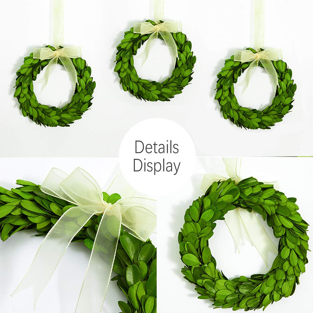 Boxwood Valley Boxwood Wreath Mini 6 Inch Preserved Round Boxwood Wreath, Door Wall Hanging Window Wedding Party Decoration Farm