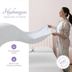 Carressa Linen Luxury Egyptian Cotton Twin Stripe Sheet Set - 600 Thread Count Extra Long Staple 3 Pc Set, Crisp White Twin Dama