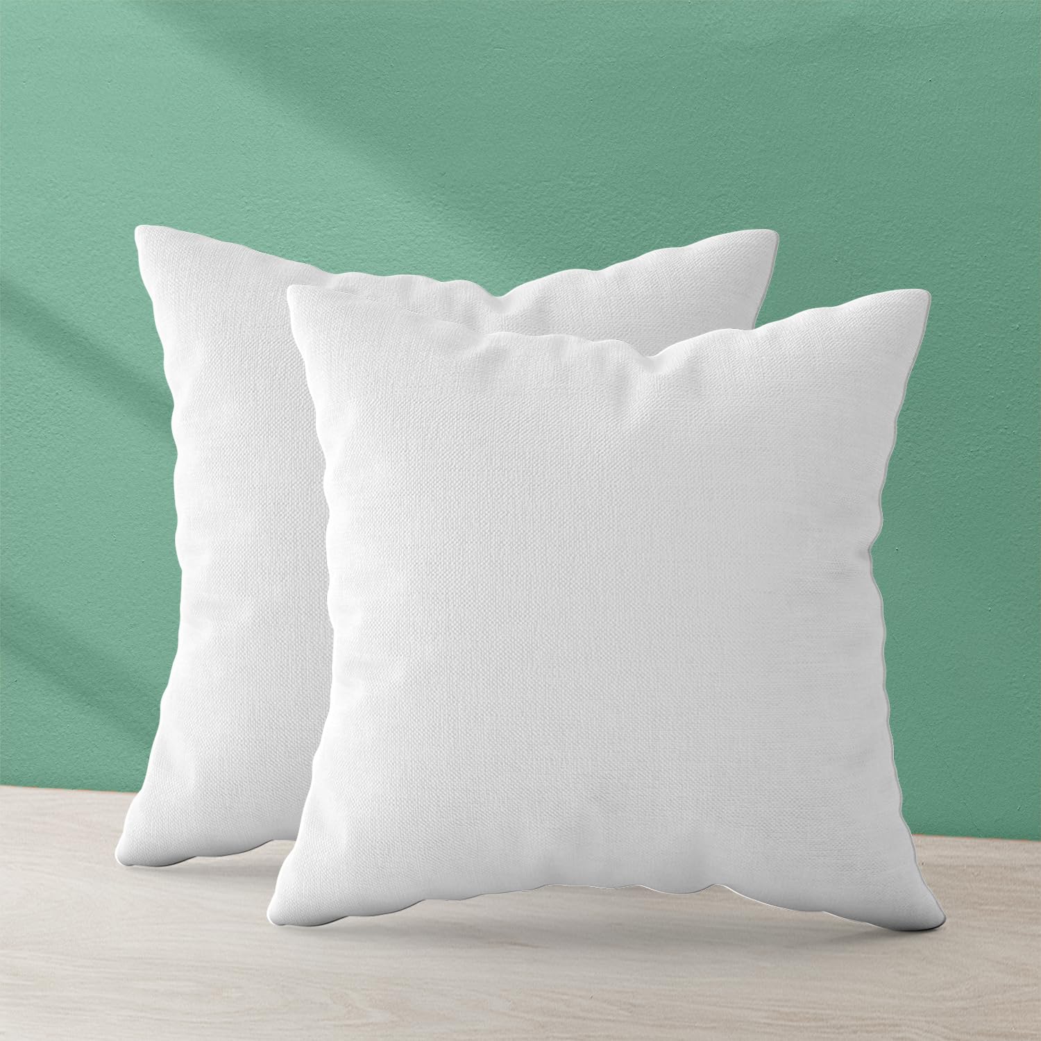 Trendy Home 20X20 Throw Pillow Insert (Set Of 2, White) Bed And Couch Pillows Stuffer Hypoallergenic, Decorative Home Indoor Out