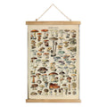 XIAOAIKA Vintage Mushroom Poster with Wooden Frame - Classic Botanical Print with Variety of Fungi Species - Retro Style Wall Ar