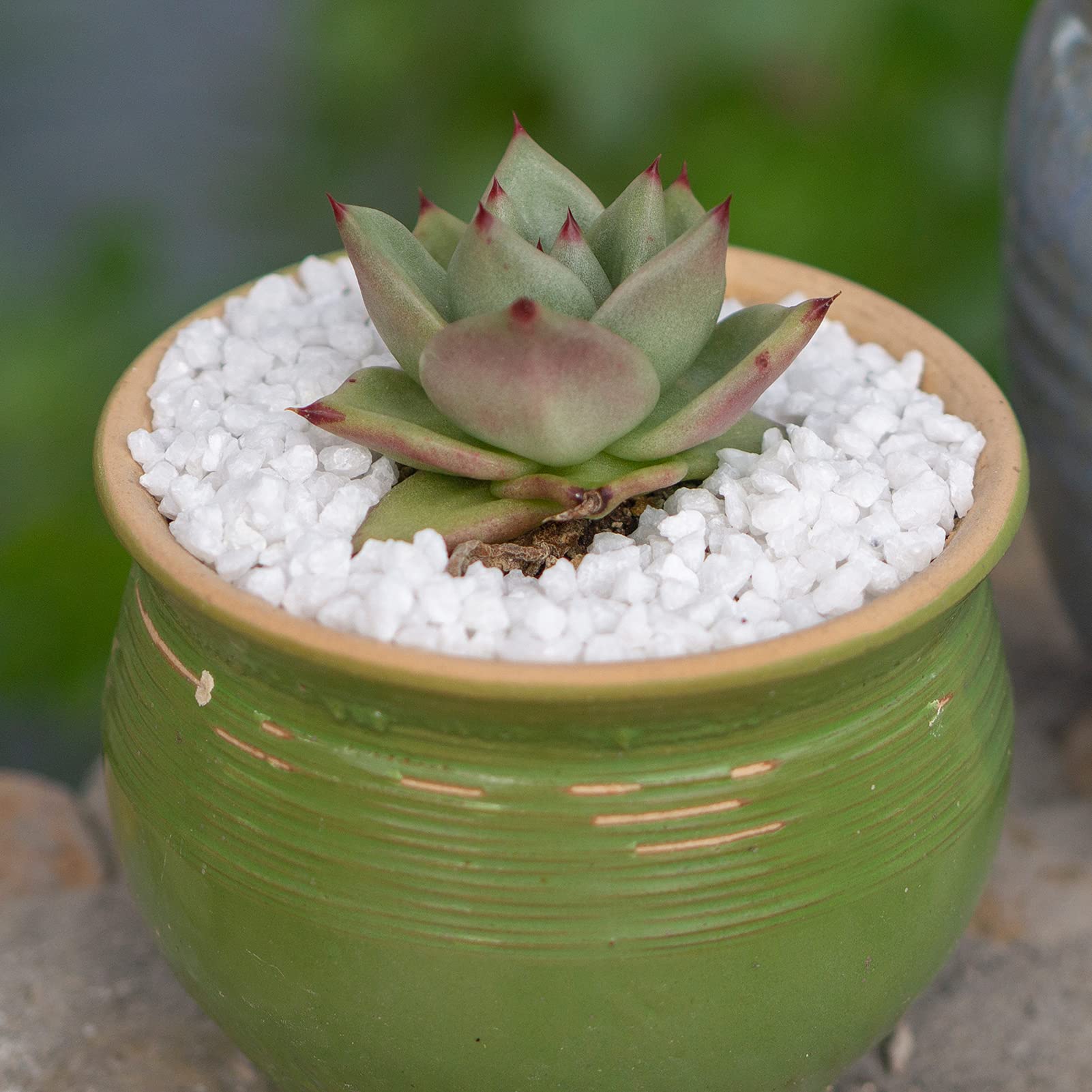 Happyfiller 1.1 Lb Fairy Garden Gravels Mini River Rocks Aquarium Terrarium Stones,Granule,Succulent Plants Accessories,Soil Cov