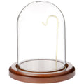 Plymor 3 x 4 Watch Glass Display Dome Cloche (Walnut MDF Base & Brass Wire)