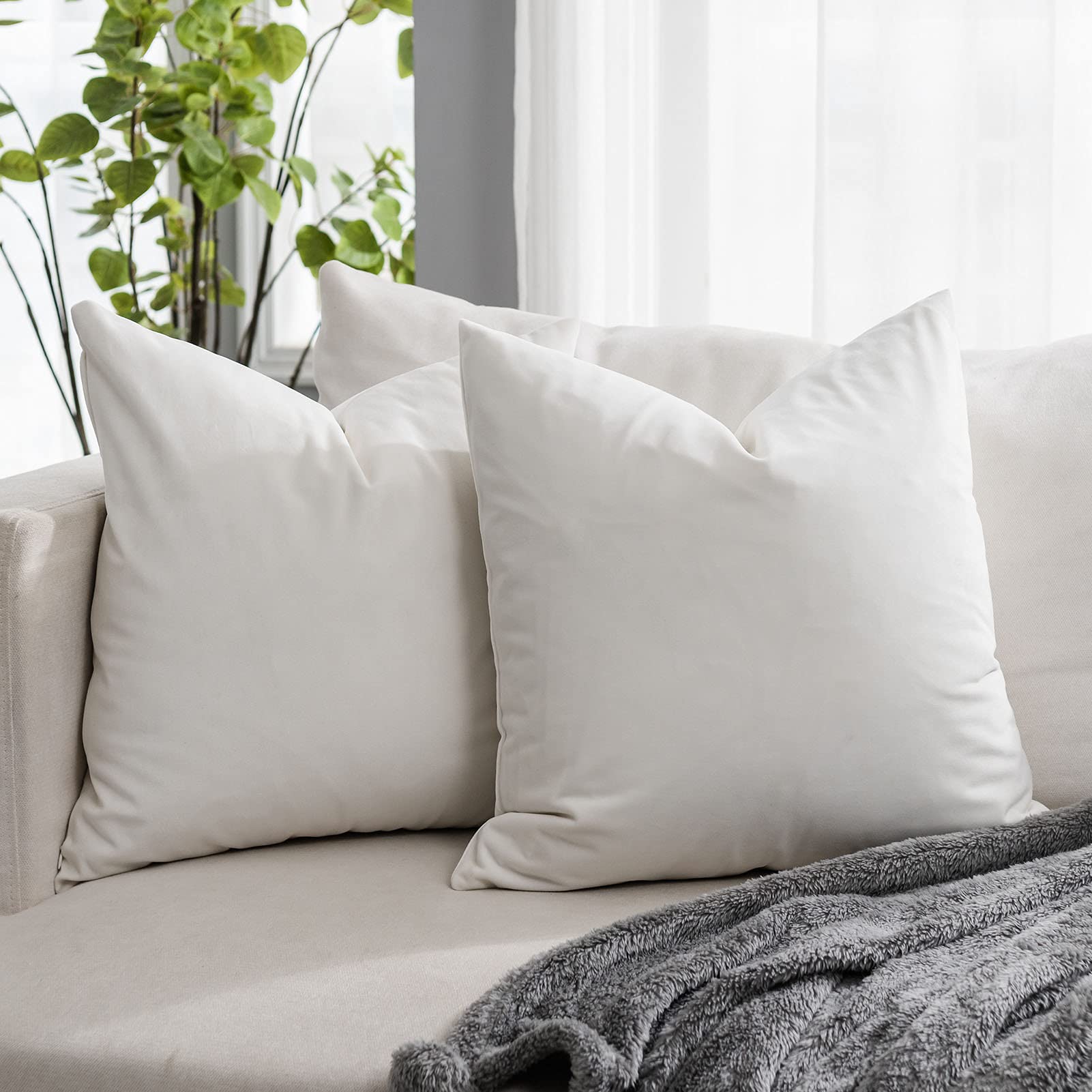 Quafoo Cream White Couch Velvet Throw Pillow Covers 16X16 Inch Set Of 2 With Zipper Decorative Luxury Soft Solid Rectangle Cushi