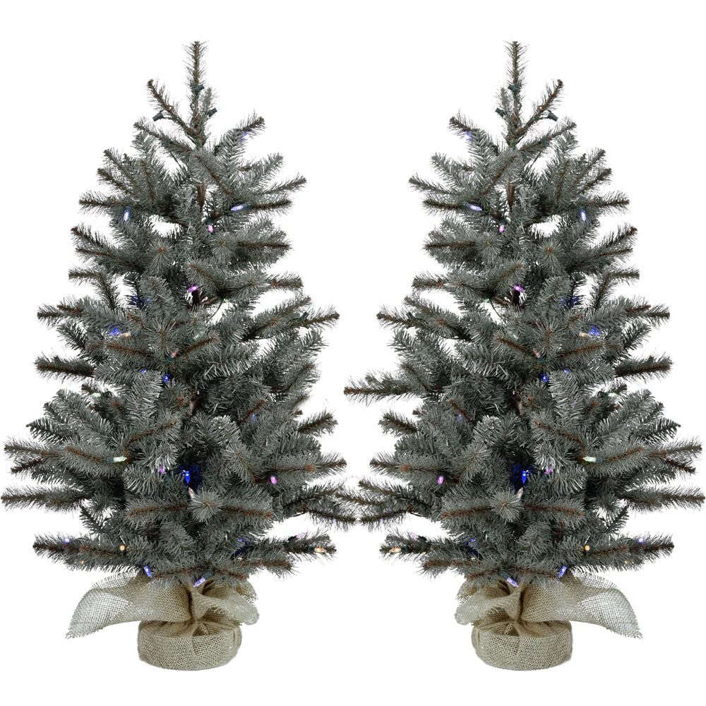 Christmas Time 2-Ft. Prelit Yardville Pine Accent Tree In Burlap Bag, Warm White Led Lights, Set Of 2, Ffhp028-5Grb/Set2, Green, (Ct-Yv028-Led/S2)