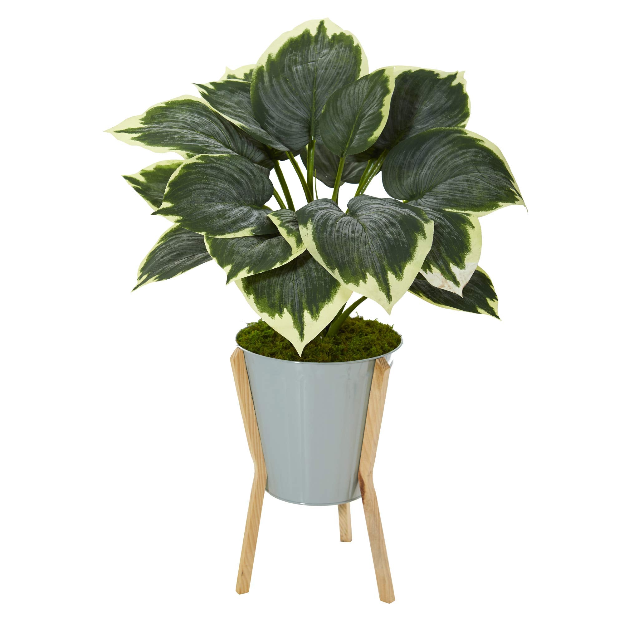 28 Variegated Hosta Artificial Plant In Green Planter With Stand