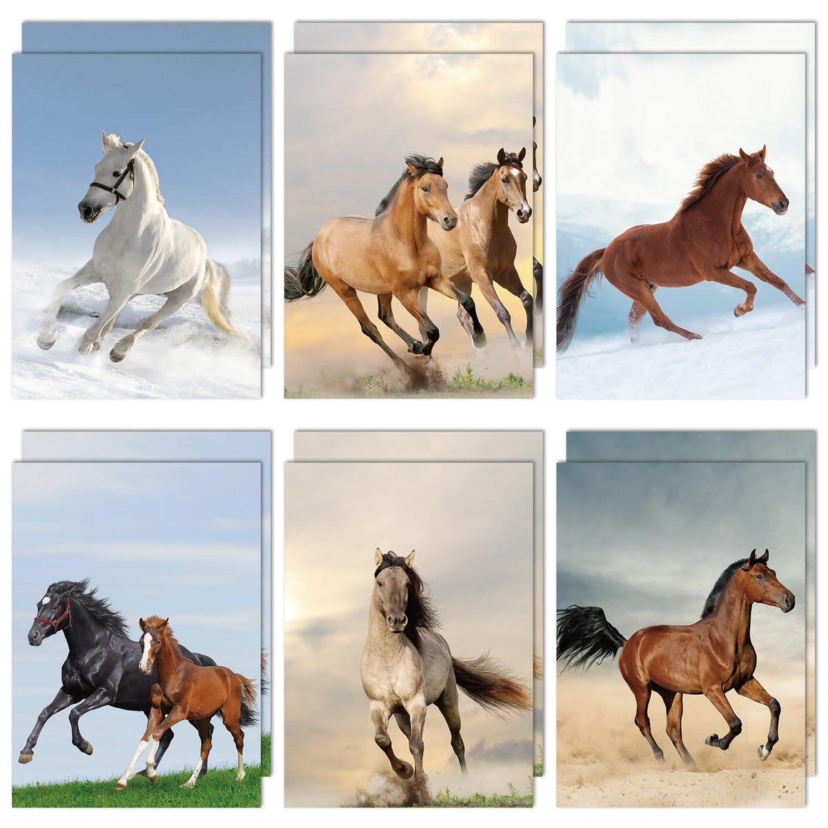 Horse Decorative File Folder Set Horse 2-Pocket Folder Set 6 Designs Laminated Folder For Teachers Students School Office Suppli