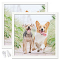 icariery 12x12 Picture Frame Set of 2, White Square Photo Frames High Transparent Wall Gallery Desktop Horizontal Vertical for C