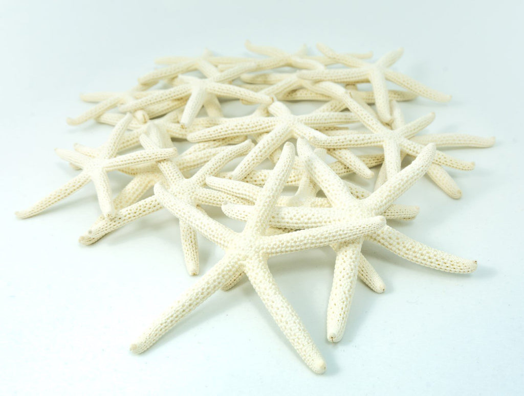 Starfish Decor - Star Fish For Craft - 20Pk Real 2-3'' White Sea Stars - Beach Wedding Decor - Coastal Party Decorations - Seash