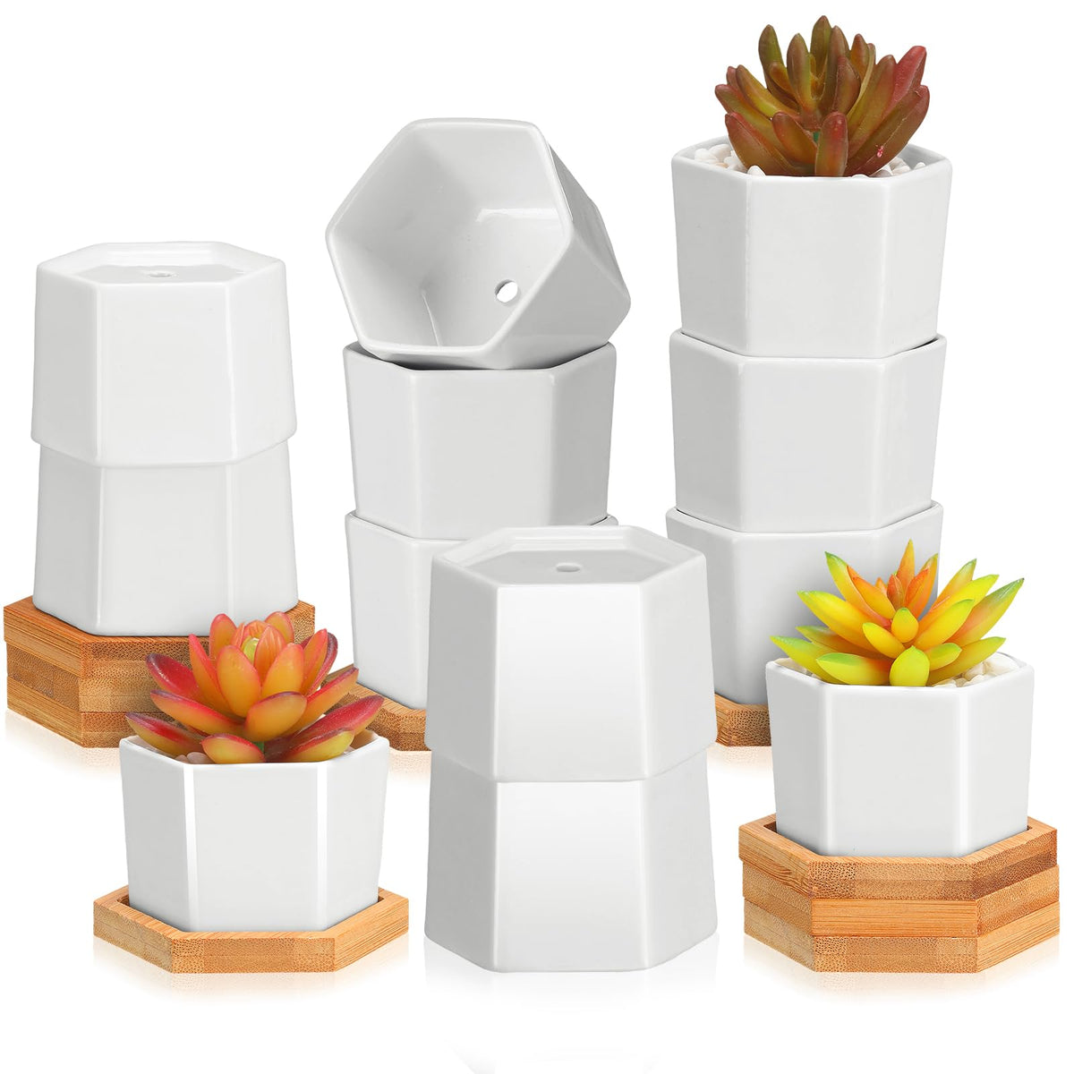 Gerrii Succulent Pots Mini White Ceramic Flower Planter Pot Succulent Planters With Wooden Trays And Drainage Holes For Plants C