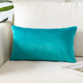 Artscope Luxury Velvet Pillow Covers Super Soft Decorative Rectangle Throw Pillow Covers Case Cushion Covers For Sofa Couch Bedroom Car Decor 16X24 Inch Turquoise