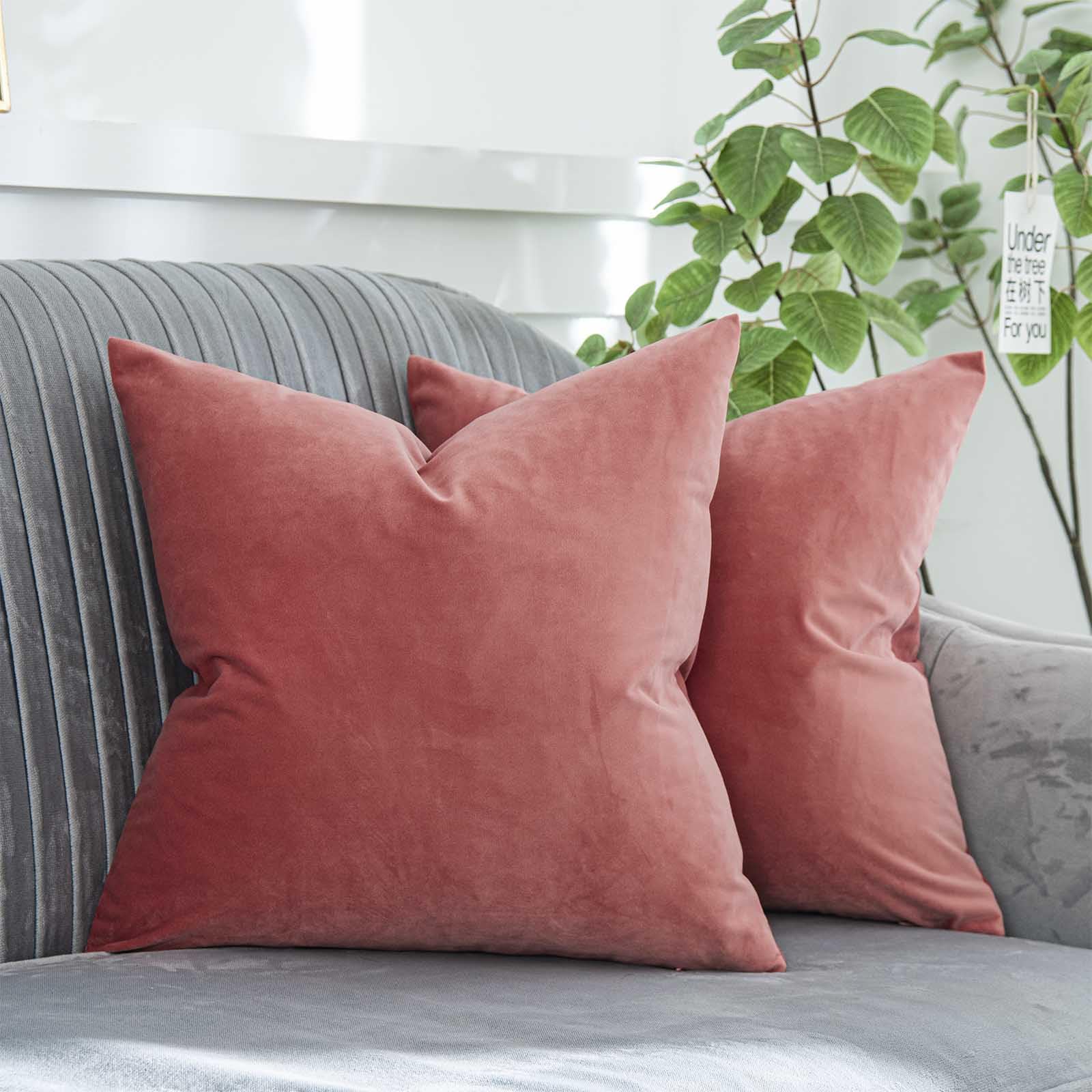 Quafoo Coral Decorative Velvet Throw Pillow Covers 22X22 Inch Set Of 2 With Zipper Luxury Soft Solid Square Cushion Covers Case