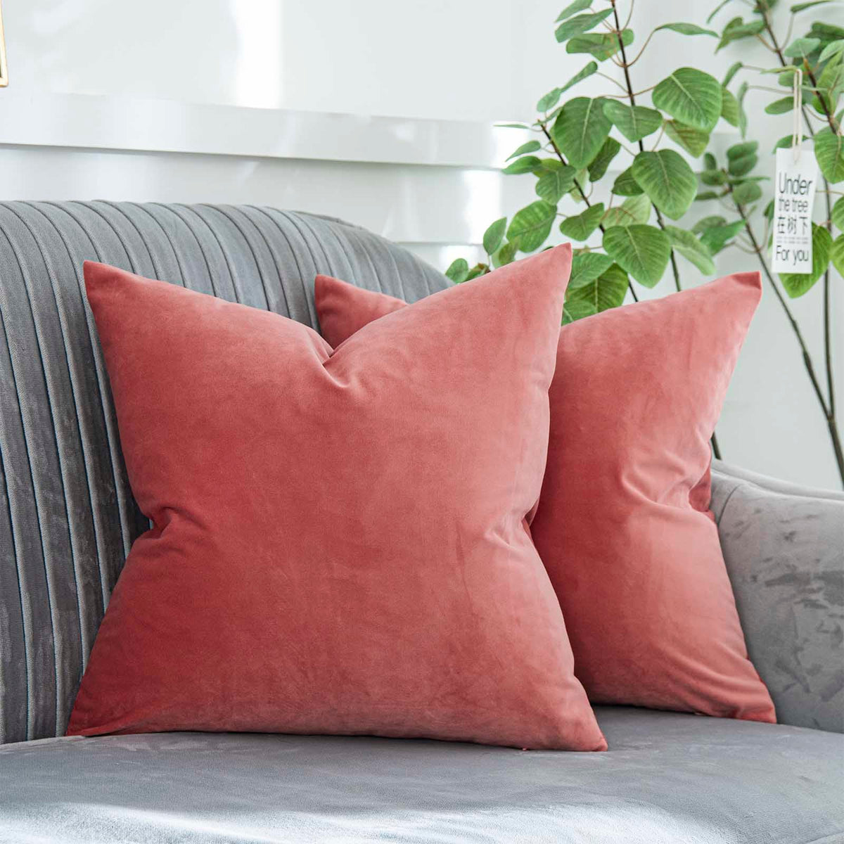 Quafoo Coral Decorative Velvet Throw Pillow Covers 22X22 Inch Set Of 2 With Zipper Luxury Soft Solid Square Cushion Covers Case