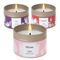 Scented Candles Gifts for Women, 3 Pack 2.6 oz Natural Soy Aromatherapy Candles for Women, Exquisite Candles Set Gift, Small Can