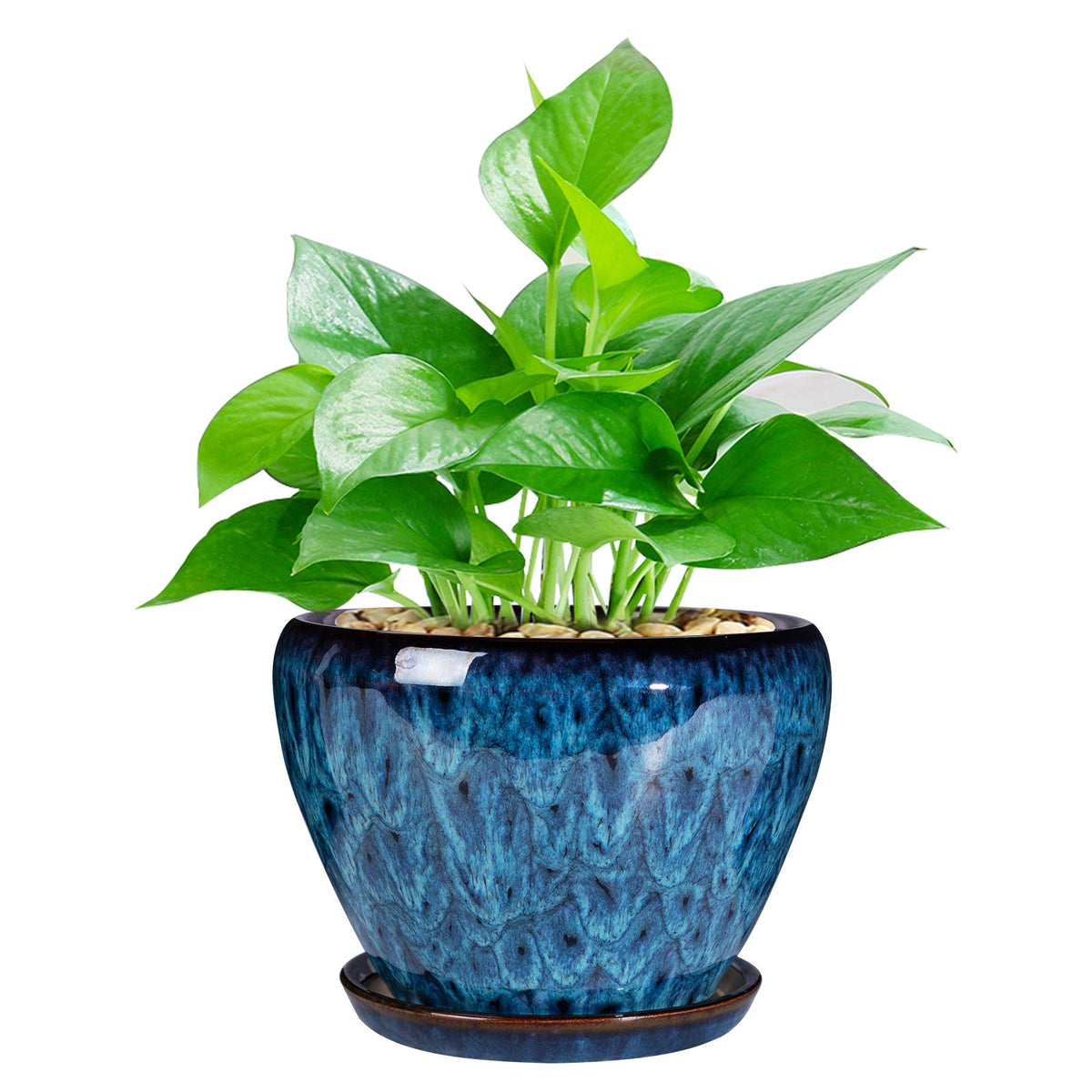 Ceramic Modern Glaze Succulent Planter Pot With Drainage Hole And Saucer 6 Inch Round Flower Plant Pot For Indoor Outdoor Herb S