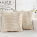 HERAYLI Corduroy Decorative Throw Pillow Covers, Home Decor Soft Square Cushion Case for Living Room Couch Bed Sofa, Set of 2 Pa