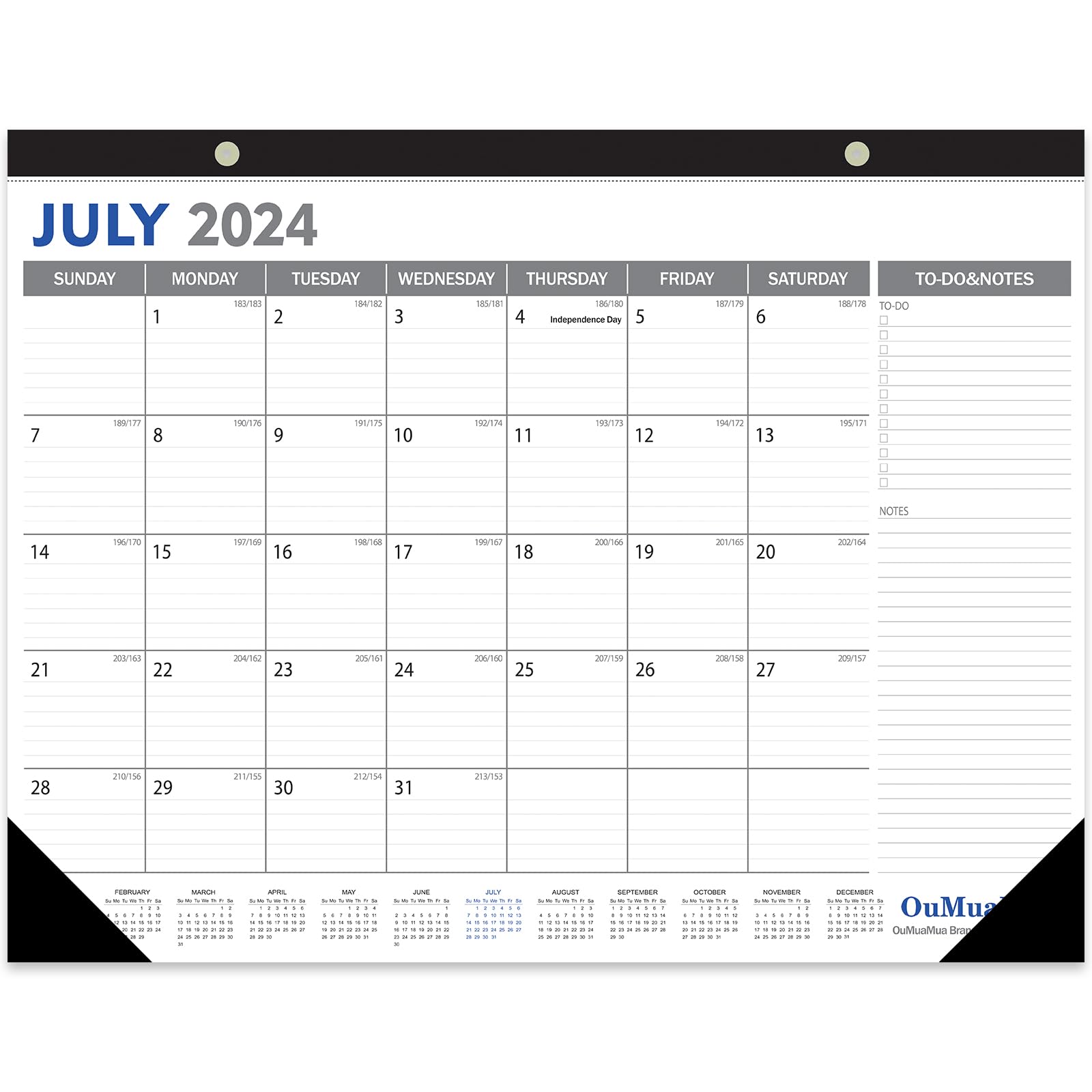 Oumuamua Large Desk Calendar 2024-2025 - 18 Months From Jan. 2024 Through Jun. 2025, 22 X 17 Inches Desktop Calendar With Julian