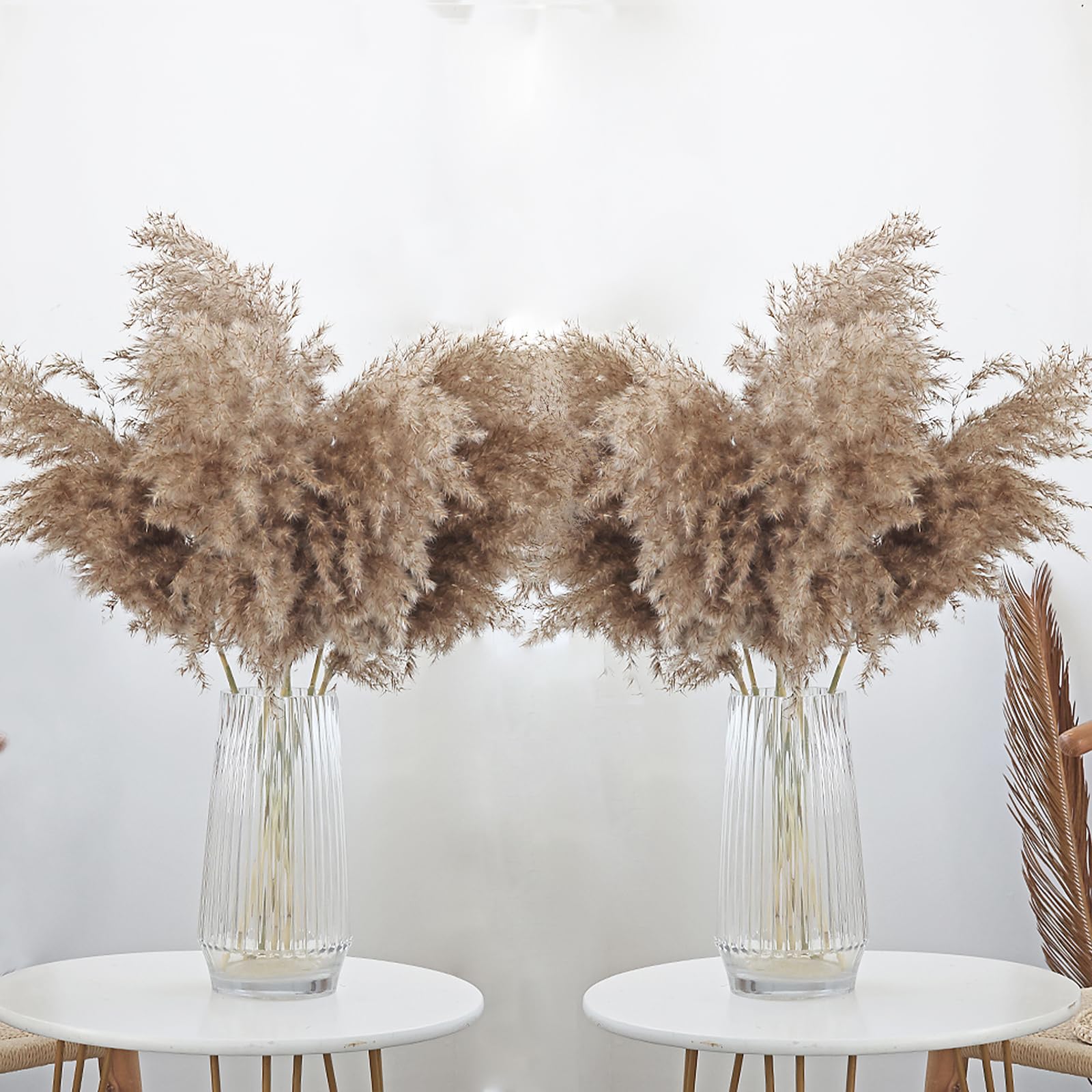 Roollya 30 Stems 28    Inch Fluffy Brown Pampas Grass Decor Tall - Natural Dried Pampas Grass, Large Pompas Grass, Dry Pampas Bu