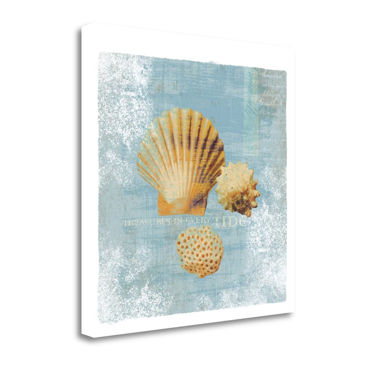 19' Blue Seashell Treasures Giclee Wrap Canvas Wall Art