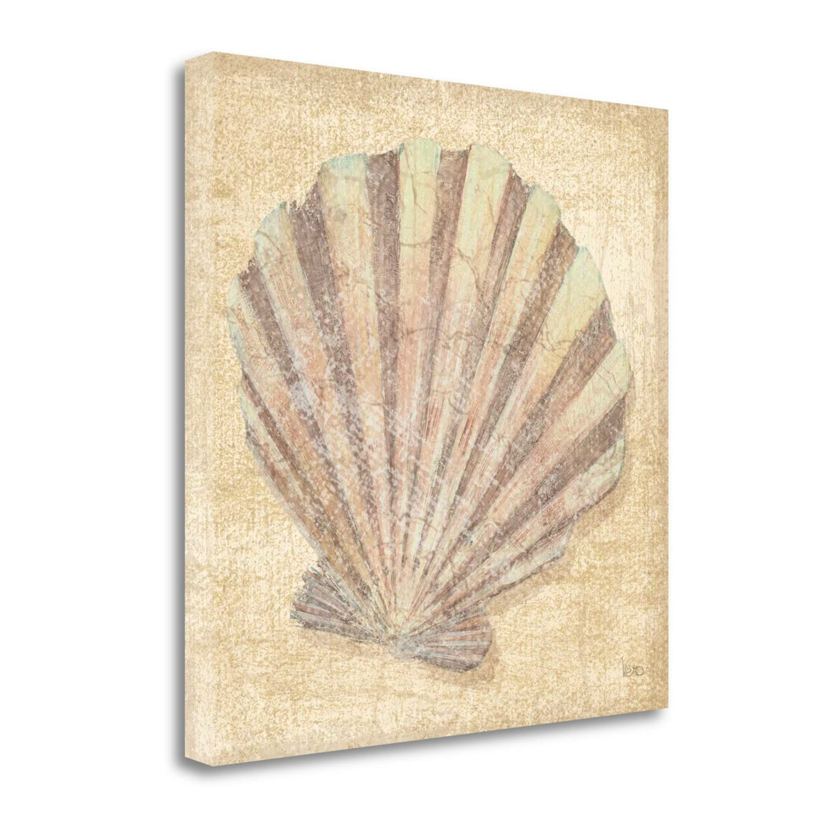 20' Bohemian Pastel Seashell Giclee Wrap Canvas Wall Art