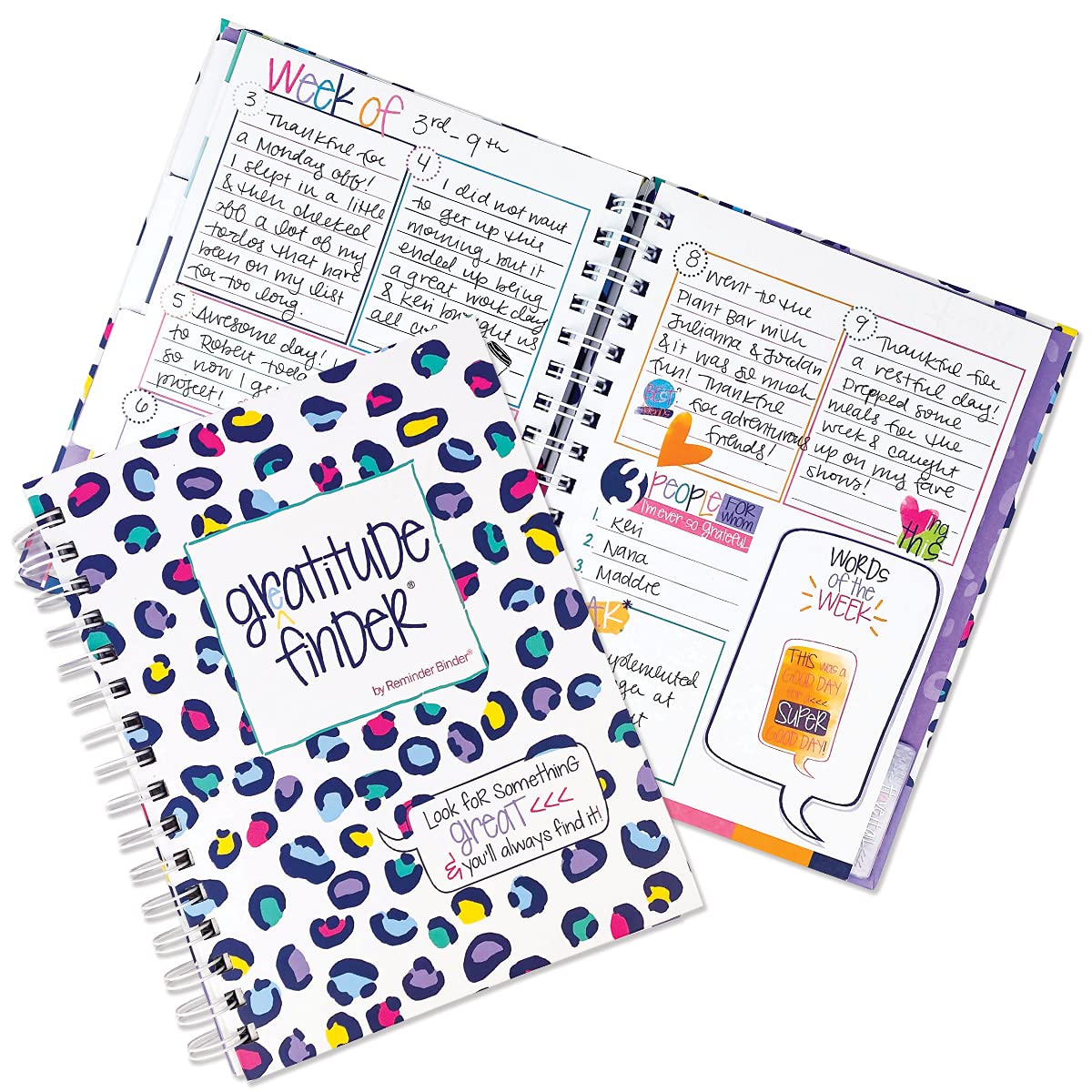 Denise Albright Gratitude Finder 52 Week Non-Dated Journal For Women, Teens & Girls With 165 Hand-Illustrated Stickers (Leo-Pop!