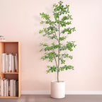 Bellacat Faux Black Olive Tree 7Ft, Tall Faux Trees Indoor With Natural Trunk And Realistic Leaves. 7 Feet(84In) Artificial Tree