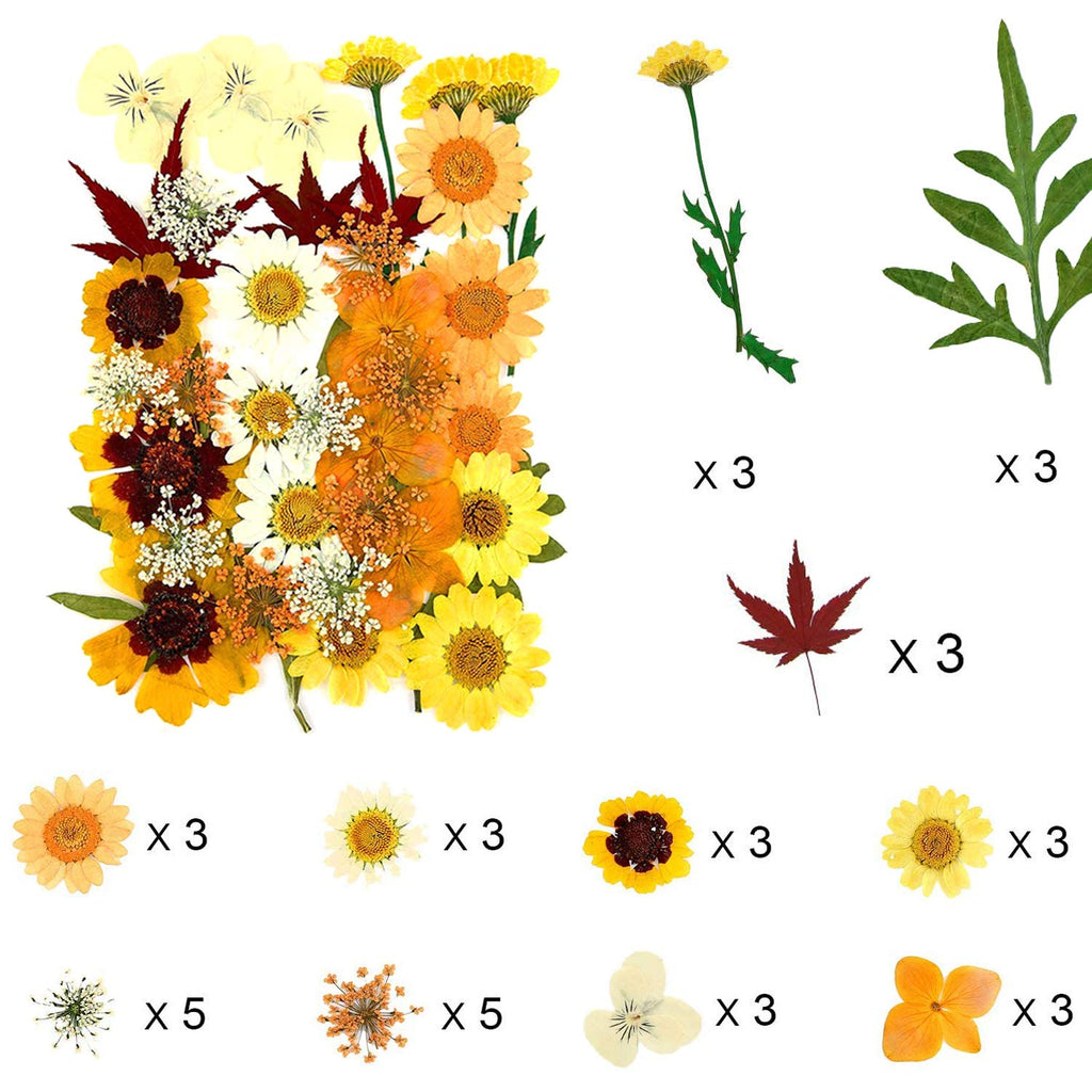 106 Pieces Assorted Real Dried Pressed Flowers Combination Real Dried Pressed Leaves Natural Dry Flowers Leaves For Resin Mold,