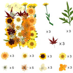 106 Pieces Assorted Real Dried Pressed Flowers Combination Real Dried Pressed Leaves Natural Dry Flowers Leaves For Resin Mold,
