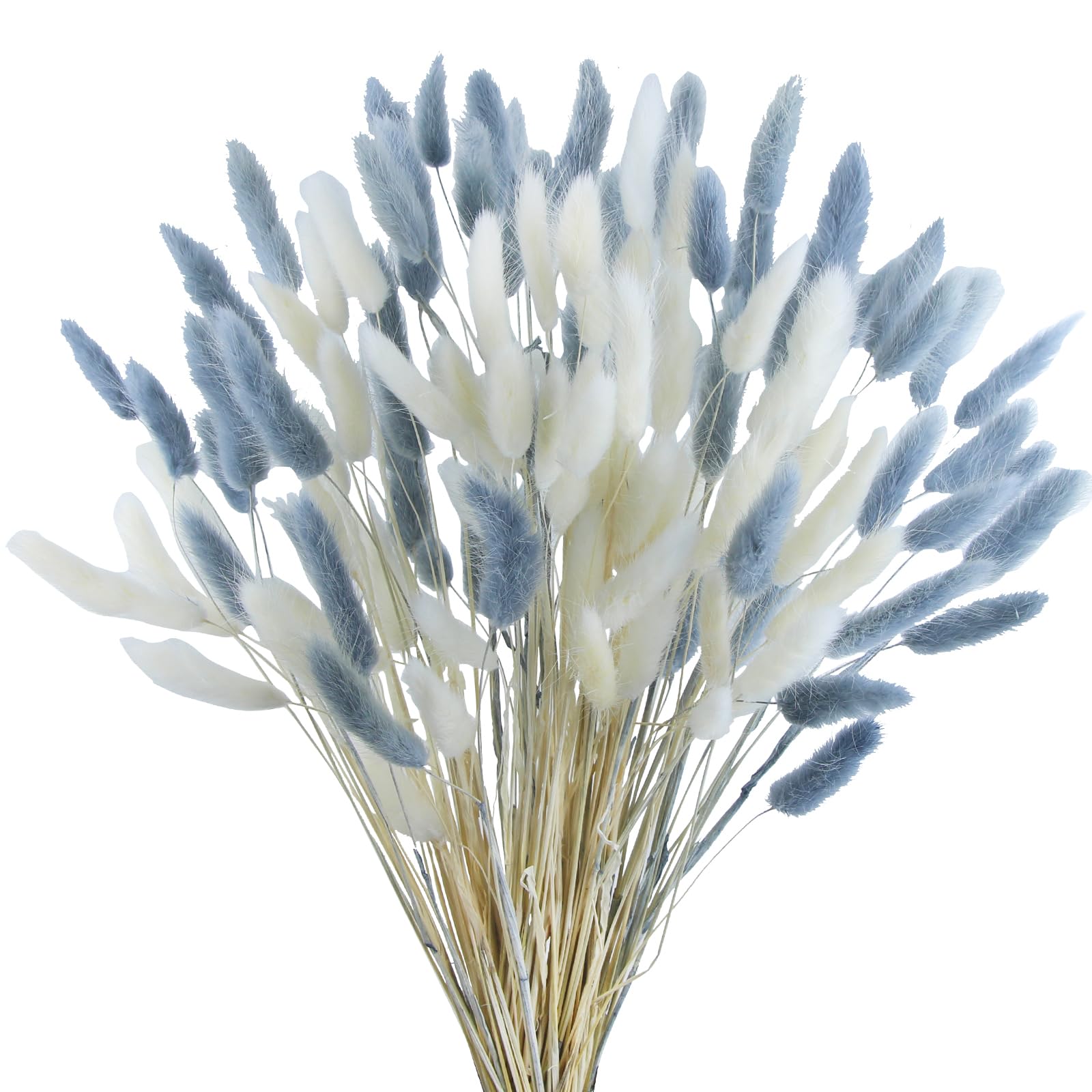 Cisdueo 120Pcs Dried Bunny Tails Flowers Lagurus Ovatus Tail Dried Flowers Pampas Grass White And Gray Natural Dried Floral Arra