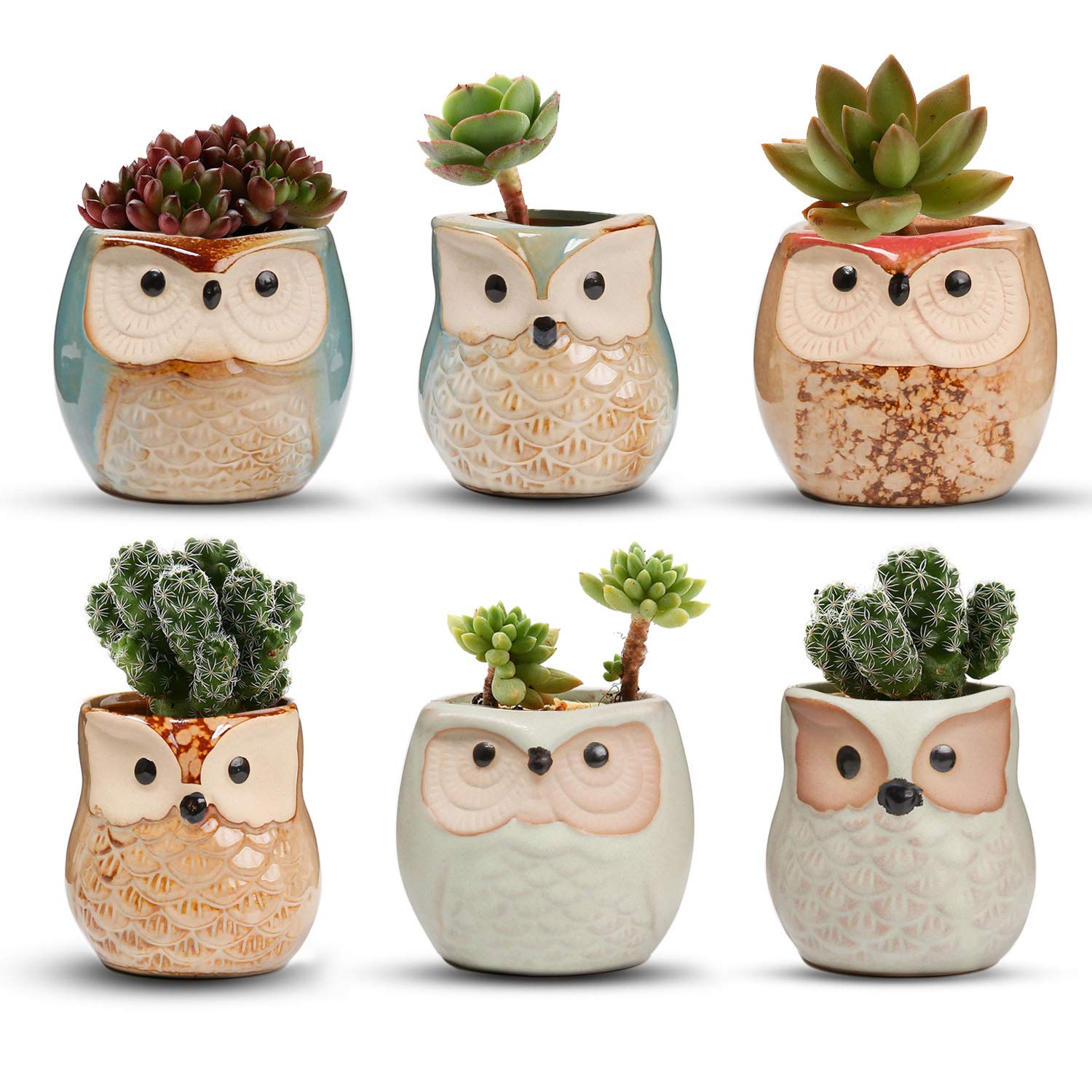 T4U 2.5 Inch Owl Ceramic Succulent Planter Pots With Drainage Hole Set Of 6, Small Cute Flower Pots Plant Holder Container Best