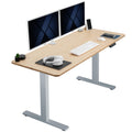 VIVO Electric 60 x 24 in Real Bamboo Standing Desk, Memory Height Adjustment, 1B Series, Holds 220 lbs, One-Piece Top, Gray Fram