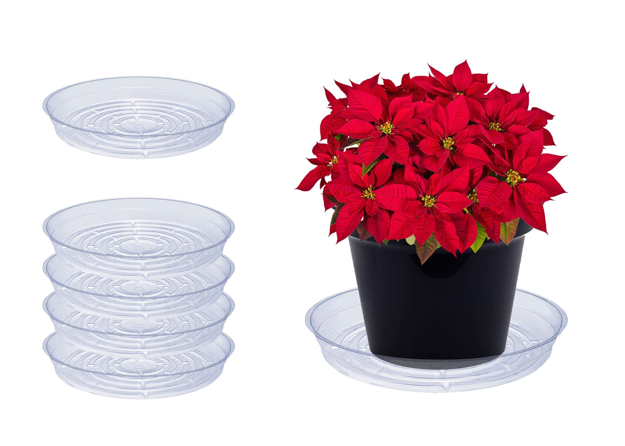 Curtis Wagner Plastics Drip Pan Plant Saucers (5-Pack) - Clear, Round (Diameter: 3' Base, 4' Top, 1.12' Depth) Thin Plastic P