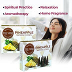 Pineapple Incense Cones - Total 20 Cone Incense - Dual Pack Of 10 Insence Cones - Incense Cones Scented - Cone Incense Scents -