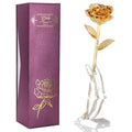 24K Gold Rose for Her, Eternal Love Real Golden Plated Preserved Eternal Rose Flower, Best Present for Anniversary Day Wife/Mom/