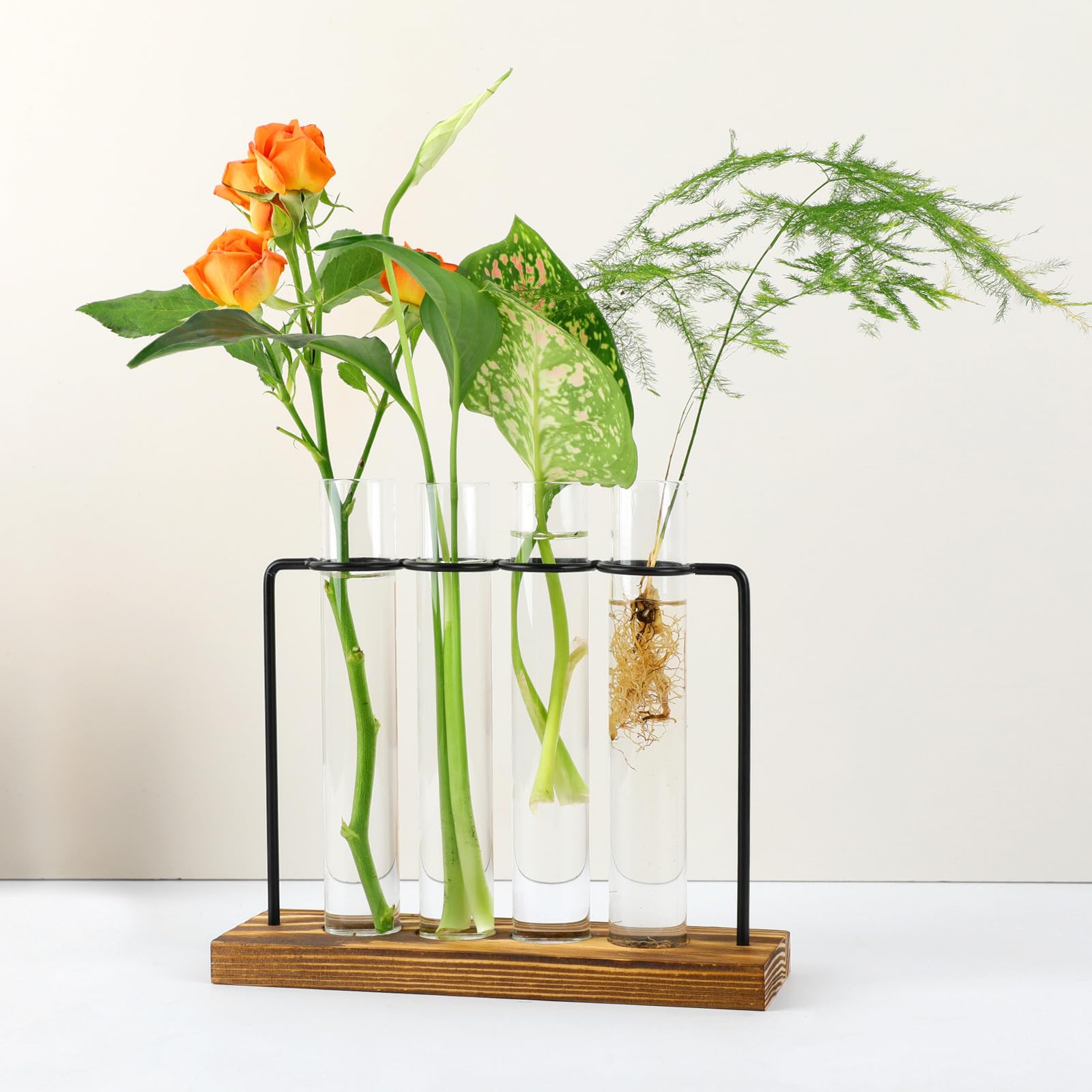 Pechaut Propagation Tubes, Glass Plant Terrarium, Perfect For Flower Stems & Plant Cuttings, Excellent Home & Office Decor, Uniq