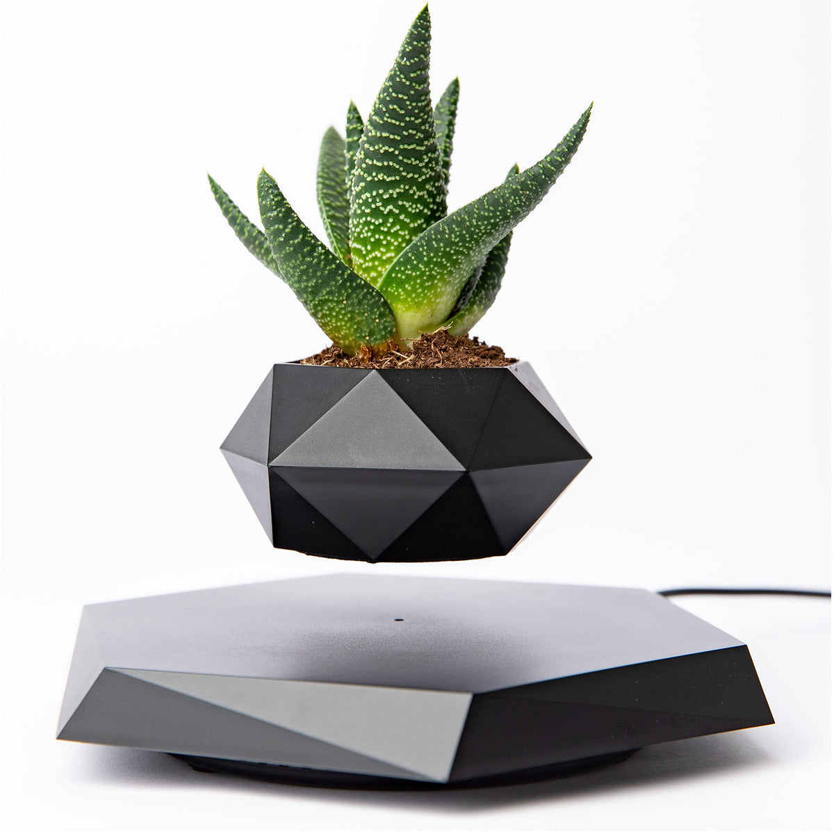 Bandd Levitating Plant Pot - Floating Plant Pot For Small Plants. Levitating Decor For Home & Office . Magnetic Floating Levitat