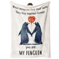 Steadstyle Gifts For Her Or Him - Wedding Anniversary Blanket, Romantic I Love You Gifts, Christmas, Valentines Day, Birthday Gi
