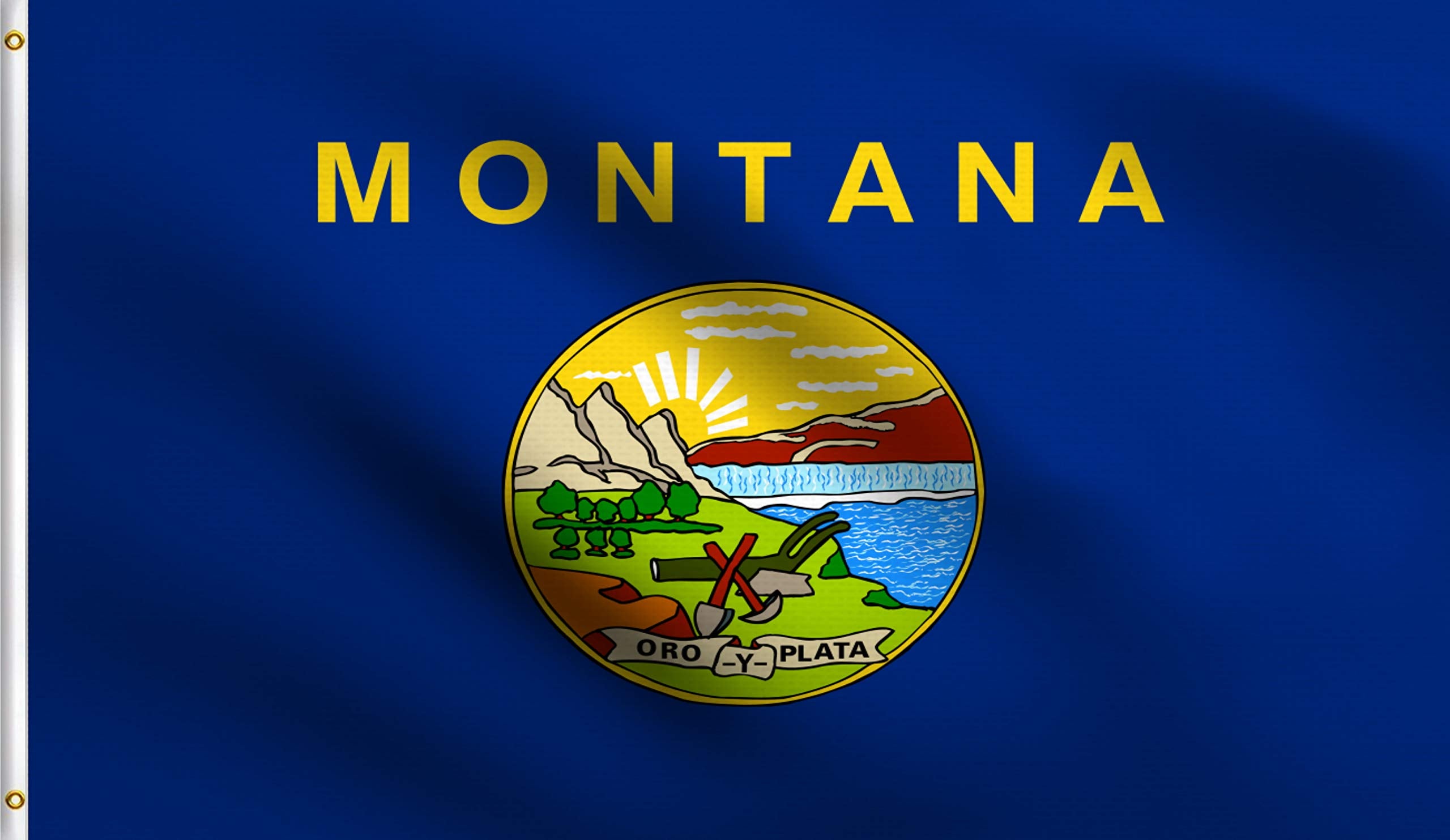 Dmse Montana 41St State 1889 Flag 2X3 Ft Foot 100% Polyester 100D Flag Uv Resistant (2' X 3' Ft Foot)