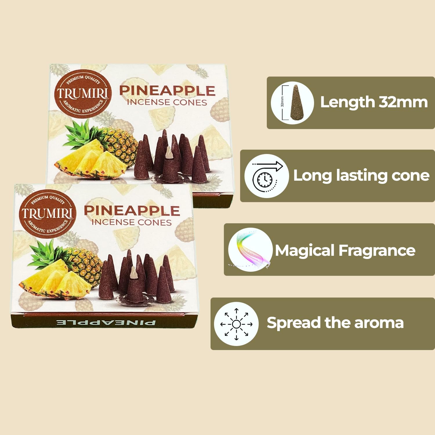 Pineapple Incense Cones - Total 20 Cone Incense - Dual Pack Of 10 Insence Cones - Incense Cones Scented - Cone Incense Scents -