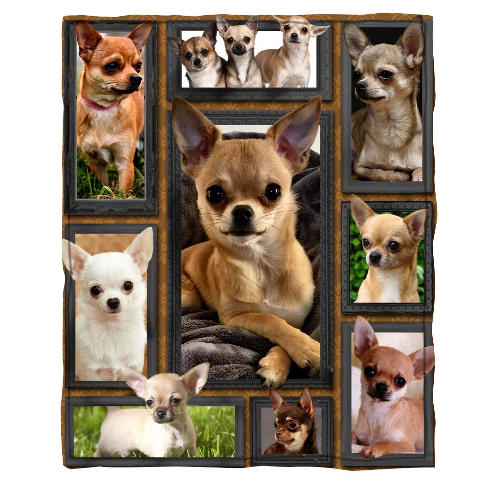 Chrihome Flannel Blanket 3D Chihuahua Dog Blanket Soft Plush Bedding Sofa Couch Throw Blanket Cozy Home Decor Blankets (80' X 6
