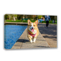 Custom Canvas Prints with Your Photos Custom Wall Art Personalized Canvas Pictures for Pet/Family Gifts for Mom/Men/Women (14 