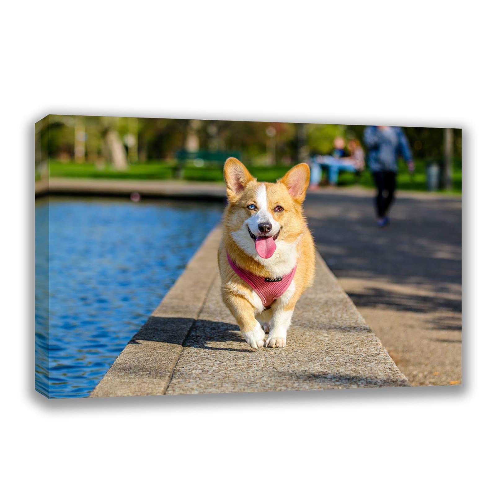 Custom Canvas Prints with Your Photos Custom Wall Art Personalized Canvas Pictures for Pet/Family Gifts for Mom/Men/Women (14 