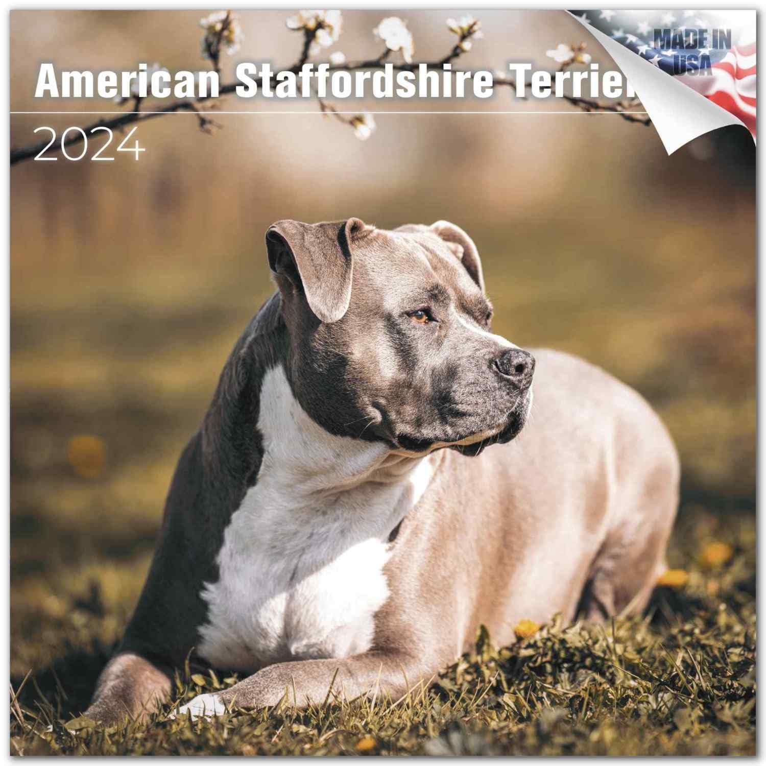 2023 2024 American Staffordshire Terrier Calendar - Dog Breed Monthly Wall Calendar - 12 X 24 Open - Thick No-Bleed Paper - Gift